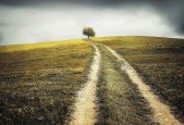 Thriving After Divorce- From Victim to Victor