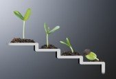 Strategies for Growth and Improvement