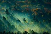 Writing - Writing a Fantasy Novel for Beginners