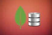MongoDB- Initiating the Next Step