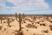 Create realistic game Cactus Optimized with Speedtree for UE
