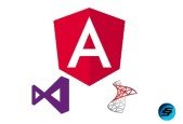 Learn Angular 8 Web API by creating a Full Stack Web App