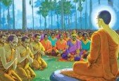 Certified Teacher-led Course on The Teaching of Buddha