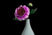 Leather making flowers-ZINNIA_1