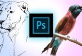 Learn How to Draw and Paint in Photoshop_2