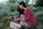 Teach Foraging - Teaching and Business Essentials