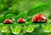 SystemVerilog Assertions Functional Coverage FROM SCRATCH