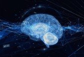 Neuroplasticity Systems To Rewire Your Brain