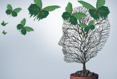 Influencing Without Authority Using Emotional Intelligence