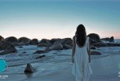 Journey Toward Your Goals
