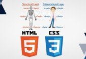 HTML CSS
