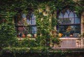 Sustainability through Landscape Design