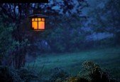 The Fundamentals of Landscape Lighting Design Installation