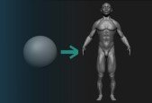 Intro To ZBrush Human Anatomy Sculpting(ZBrushCore 2021)