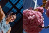 A beginners’ guide on Vastu- your house as a tool for growth