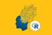 Machine Learning Made Easy - Beginner to Advanced using R
