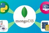 MongoDB Database Developer Course In Python