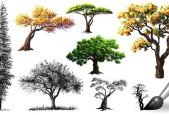Learn to Draw Paint ANY Tree- Full Masterclass for Artists