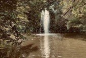 Art Challenge Finding Inspiration in Nature