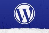 WordPress as a NoCode Tool for Beginners