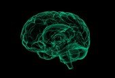 WealthyBrainHack Hack Your Way to An Ultimate Success