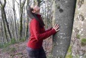 FOREST THERAPY