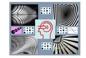 APPLIED GESTALT THEORY IN DESIGN AND ART