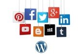 WordPress Social Media Automation
